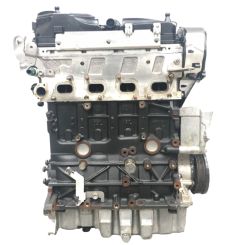 Motor cayc Audi A3 (8p1) 1.6 tdi