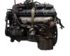 Audi A4 b9 avant (8w5, 8wd) 30 tdi mild hybrid