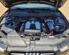 Audi A5 (8t3) S5 quattro