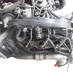 Motor f1cfa401c, f1ce0441a, f1cfa401a Fiat Ducato autobús (250_) 140 natural power