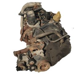 Motor f1ae3481g Fiat Ducato caja/chasis (250_) 110 multijet 2,3 d
