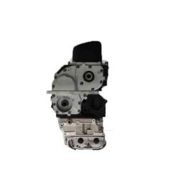 Motor rfl Fiat Ducato furgón (244_) 2.0 4x4