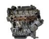 Fiat Panda (141_) 1000
