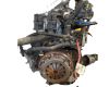 Fiat Panda (141_) 1000