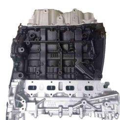 Motor  Fiat Penny furgón/ranchera familiar (257_) 