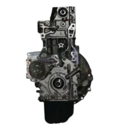 Motor ugje Ford Ecosport 1.5 tdci
