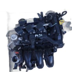 Motor p4jc, p4jd, p4ja, p4jb Ford Fiesta vi (cb1, ccn) 1.0
