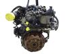 Ford Fiesta vi (cb1, ccn) 1.6 tdci