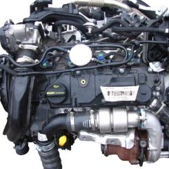 Motor xuja, xujb, ugjc Ford Fiesta vi van 1.5 tdci