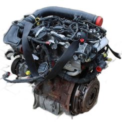 Motor sfjh, sfjn, sfjj, sfjp, sfjk, sfje, sfjf Ford Fiesta vii van 1.0 ecoboost