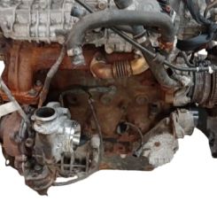Motor f1cfl411w, f1cgl411b, f1cfl4117 Iveco Daily vi caja/chasis 35s18, 35c18, 40c18, 50c18, 60c18, 65c18, 70c18