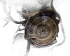 Land rover Freelander 2 (l359) 2.2 td4 4x4