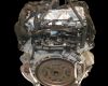 Land rover Range rover evoque (l551) 1.5 p160 mhev