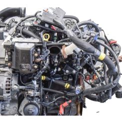 Motor 36 d, 35 d Land rover Range rover i 3.9 vogue sei 4x4