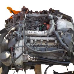 Motor 16 h Mg Maestro 1600