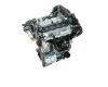 Mg Mg tf 160