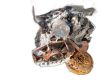 Nissan Interstar caja/chasis (x62b) Dci 145