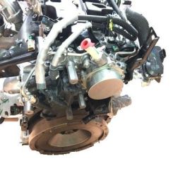 Motor ys23ddt Nissan Np300 navara pick-up (d23, d23t) 2.3 dci (d231)