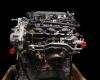 Nissan Primera hatchback (p10) 1.6