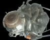Peugeot 206 sw (2e/k) 1.4 16v