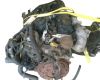 Peugeot 306 fastback (7a, 7c, n3, n5) 2.0 hdi 90