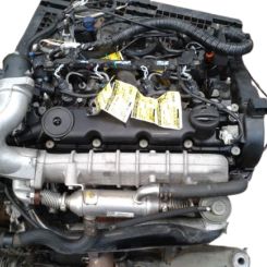 Motor rlz (ew10d) Peugeot 406 (8b) 2.0 16v hpi