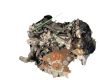 Seat 124 ranchera familiar (124a) D1200