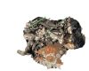 Seat Ronda (22a) 1.7 diesel