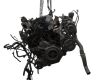 Volkswagen Beetle (5c1, 5c2) 1.4 tsi