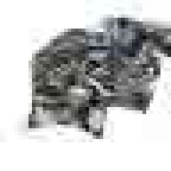 Motor daua, dnae Volkswagen Crafter caja/chasis (sz_) 2.0 tdi