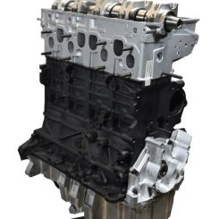 Motor bls, bkc, bxe Volkswagen Golf v (1k1) 1.9 tdi