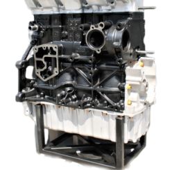 Motor bmm Volkswagen Golf v (1k1) 2.0 tdi