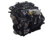 Volkswagen Golf viii (cd1) 2.0 tdi